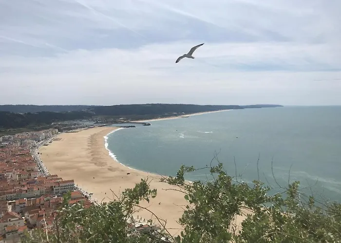 Duplex Apartamento Nazaré