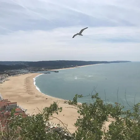 Duplex Apartment Nazare